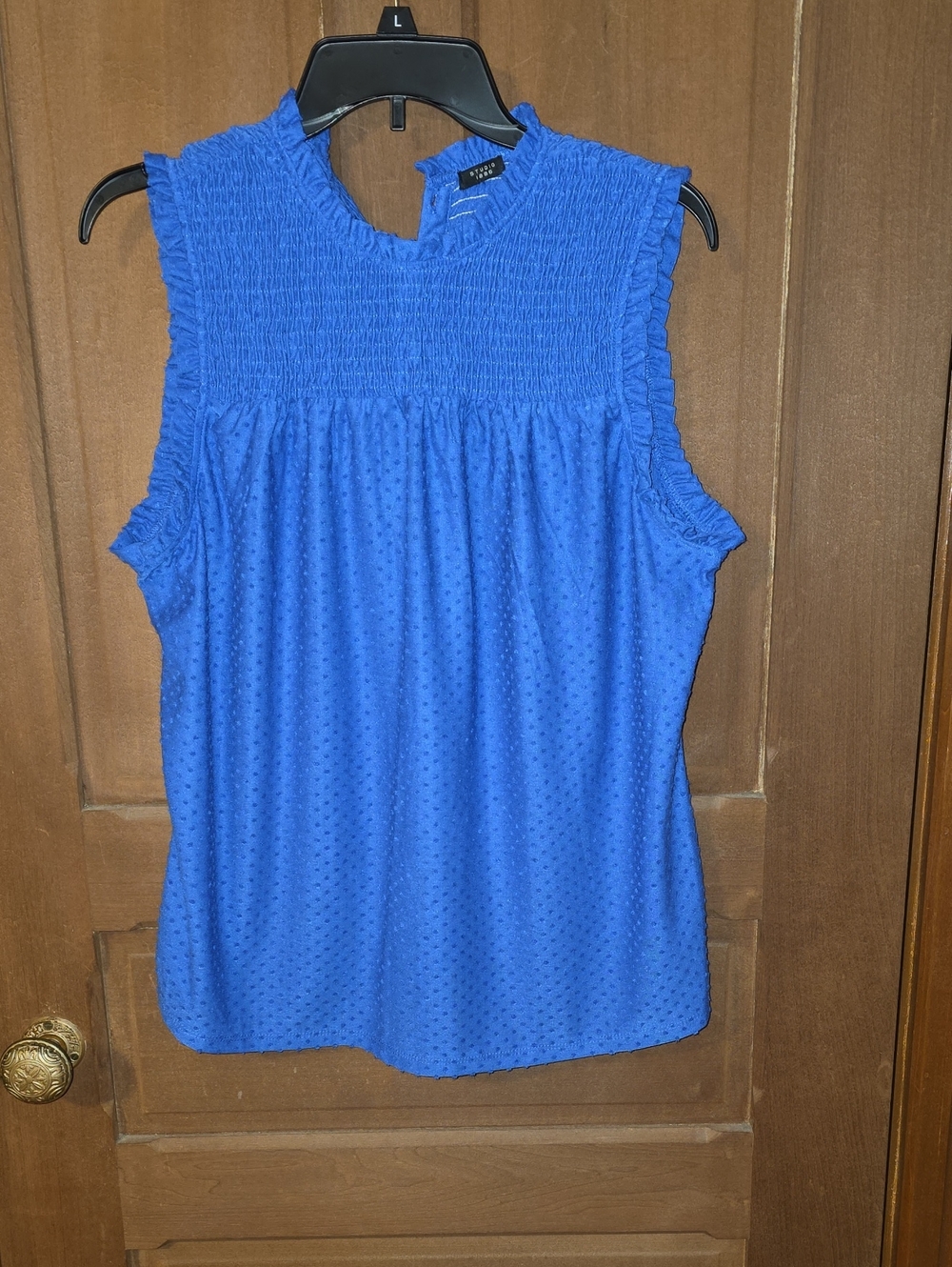 Blue Sleeveless Smocked Neck Blouse - Studio 1886